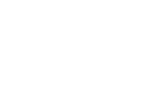 SVT logga